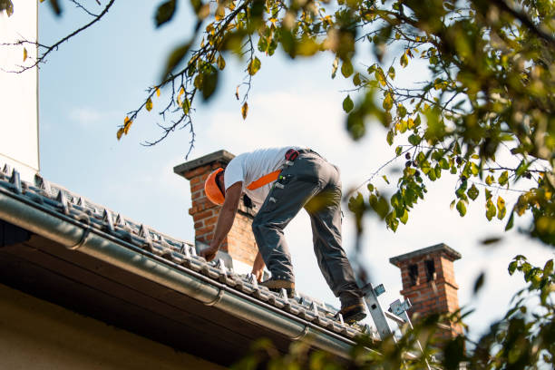Gutter Installation and Roofing in Lake Shore, WA