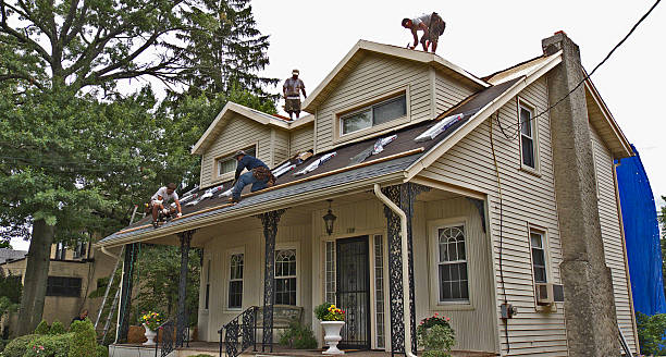 Best Best Roofing Contractors  in Lake Shore, WA