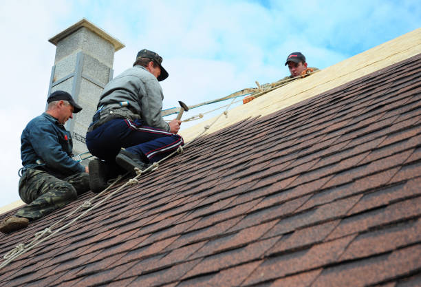 Best Local Roofing Companies  in Lake Shore, WA