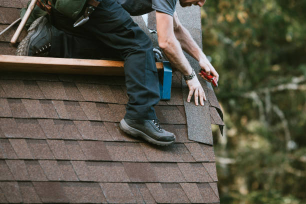 Best Roof Maintenance Services  in Lake Shore, WA